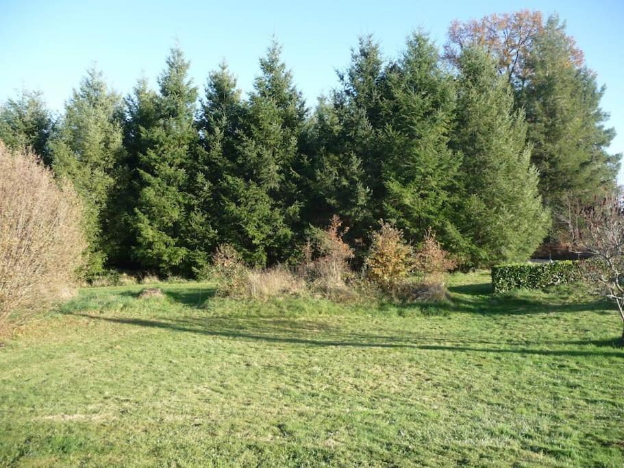 Gite Des Forces - Limousin - Haute Vienne Saint-Bazile 外观 照片